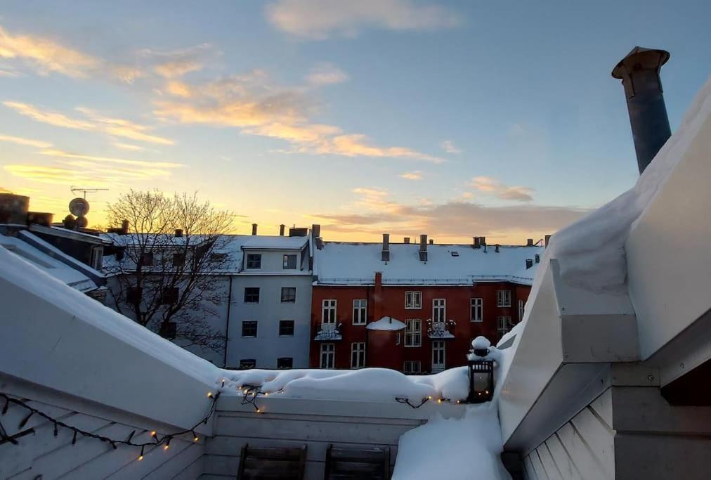 Appartement Oslo, Flott Solrik Toppleilighet Med Terrasse *